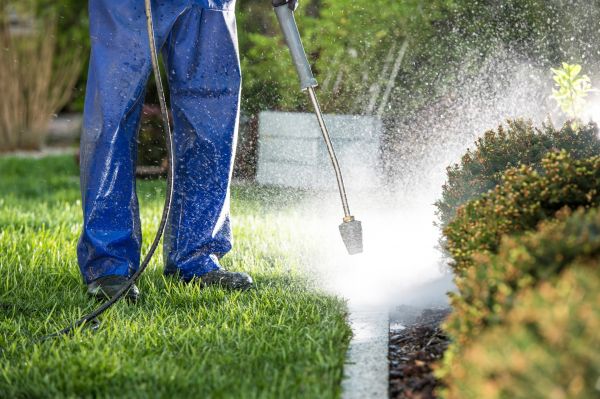 Curb Cleaning in Mill Valley