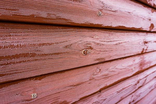 Cedar Siding Cleaning in Mill Valley