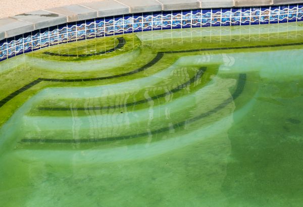 Pool Deck Algae Removal in Mill Valley