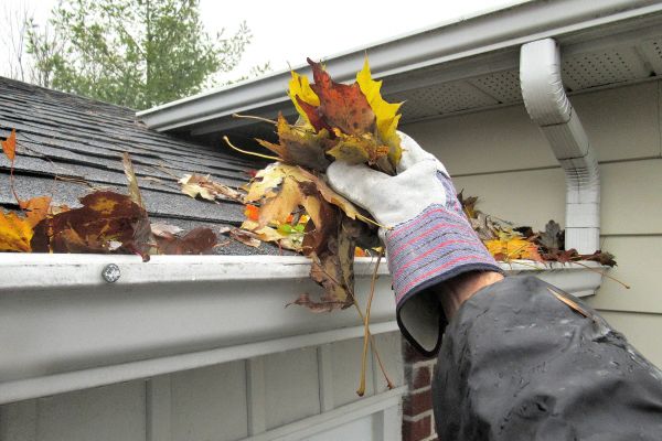 Eaves Cleaning in Mill Valley