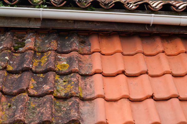 Industrial Roof Cleaning in Mill Valley