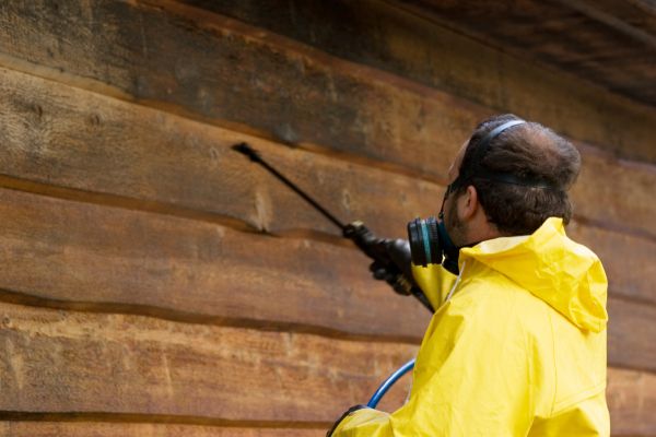 Cedar Siding Washing in Mill Valley