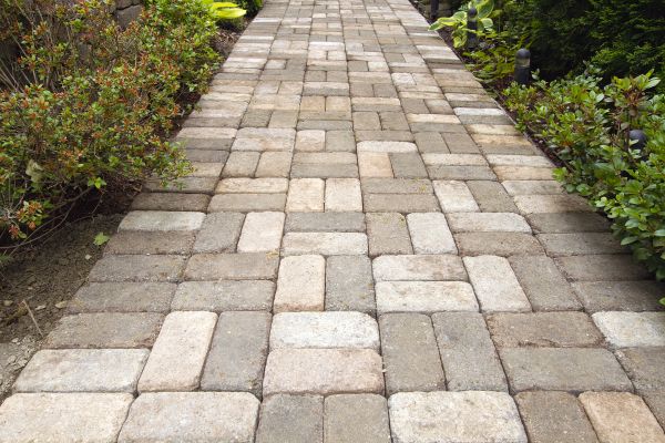 Paver Walkway Cleaning in Mill Valley