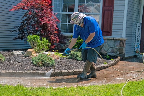 Brick Walkway Cleaning in Mill Valley