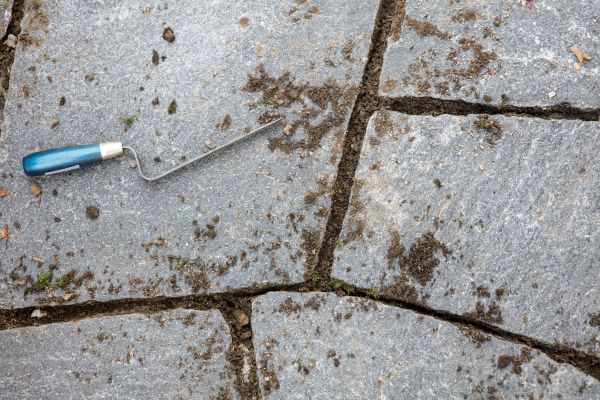 Flagstone Patio Cleaning in Mill Valley