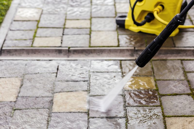 Paver Walkway Cleaning